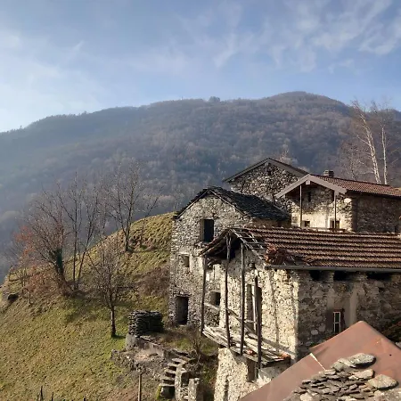 Апартаменты My Holiday -